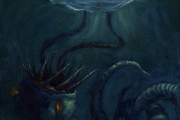 Kraken 24at