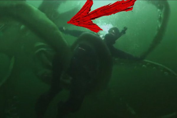 Kraken darknet зеркала