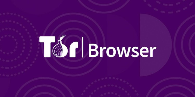 Kraken url